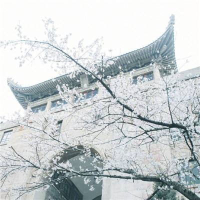 莉比小公主的城堡物语手游下载