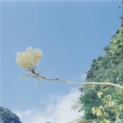 总裁养成计划手游下载